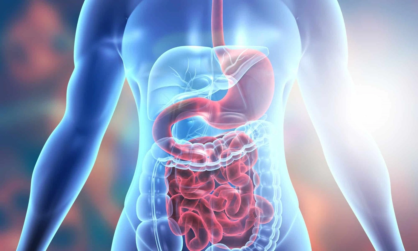 Check-up Gastro Optima