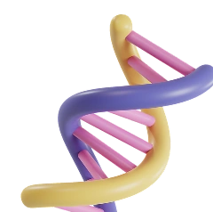 Функциональные исследования